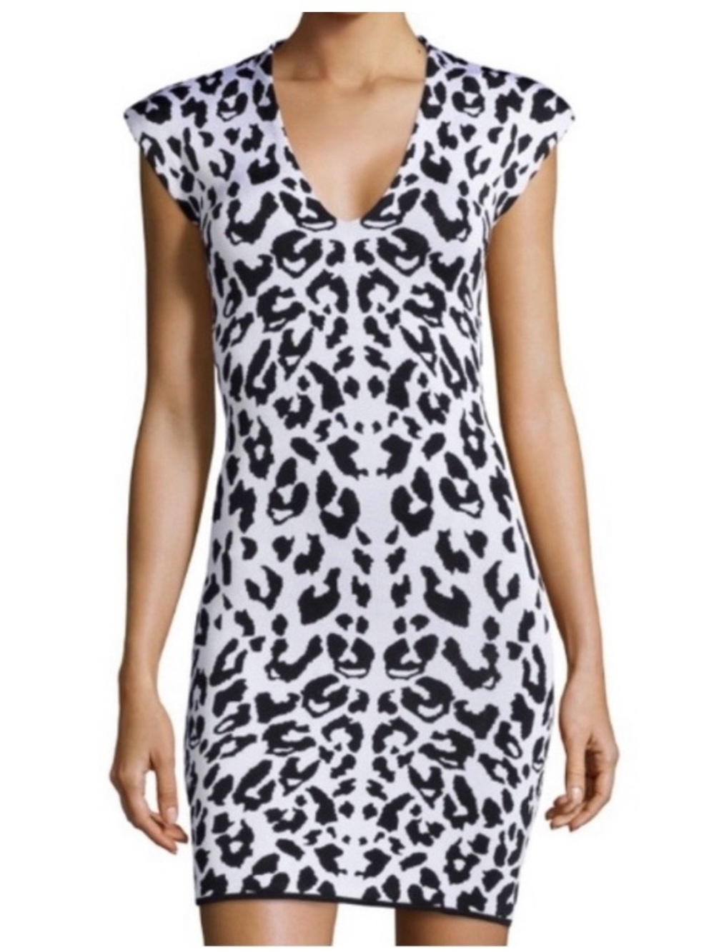Torn by Ronny Kobo Black and White Leopard-Print Mini Dress